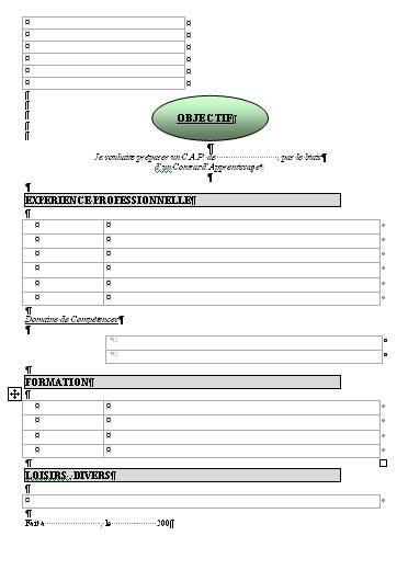 exemple de curriculum vitae. formato de curriculum vitae en